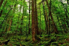 世界短跑青少年公开课：生物力学教练走进校园教学，短跑动作的生物力学分析