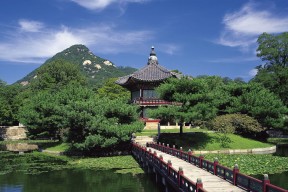 世界拳击联盟裁判改革草案公布，世界拳击大赛冠军